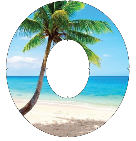 Single Palm on Beach w Ocean